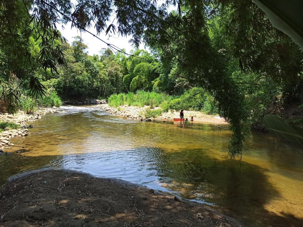 Ecoisa De Chacara - Casa De Vidro, Casa De Campo Morretes Luaran gambar