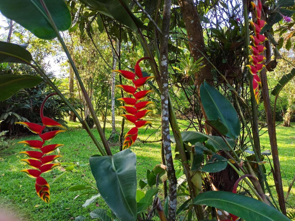 Ecoisa De Chacara - Casa De Vidro, Casa De Campo Morretes Luaran gambar