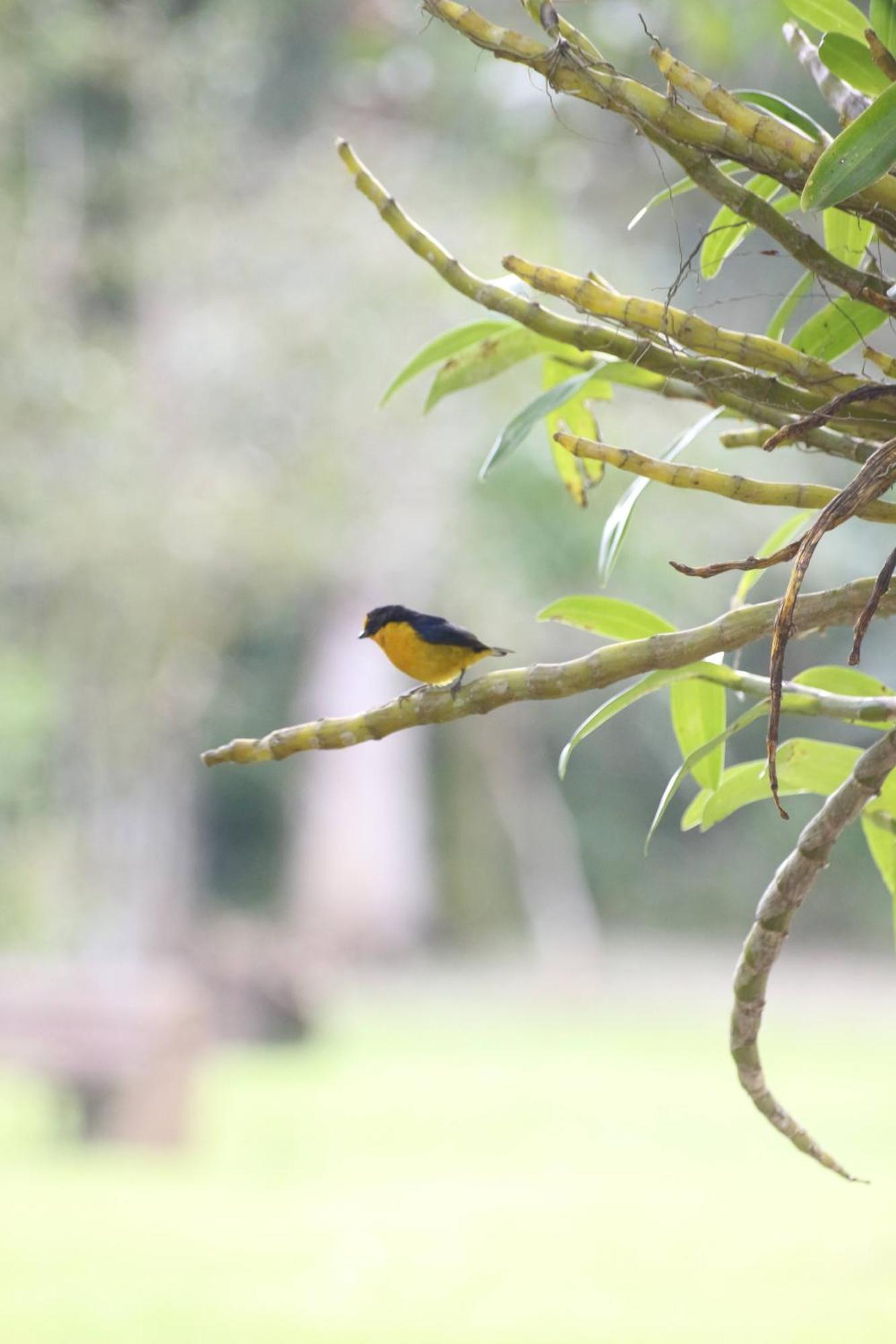 Ecoisa De Chacara - Casa De Vidro, Casa De Campo Morretes Luaran gambar