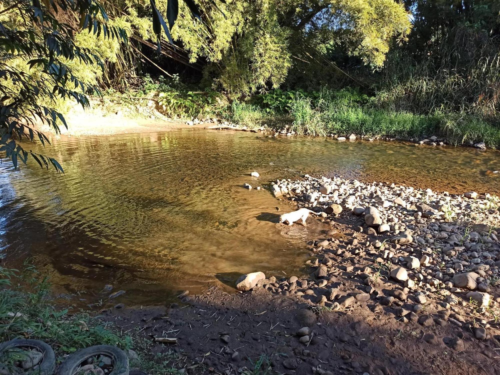 Ecoisa De Chacara - Casa De Vidro, Casa De Campo Morretes Luaran gambar